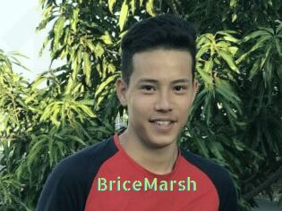 BriceMarsh
