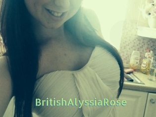 BritishAlyssiaRose