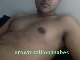 BrownStallion4Babes
