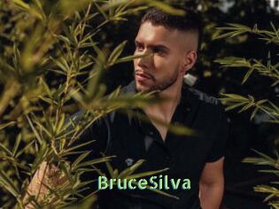 BruceSilva