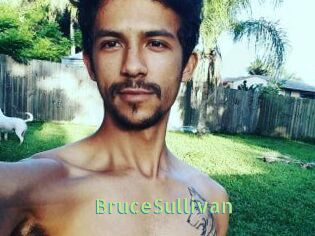Bruce_Sullivan