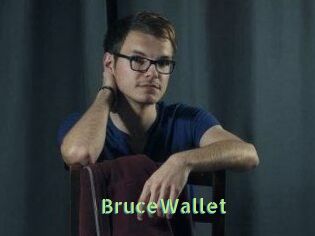 BruceWallet