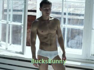BucksBunny