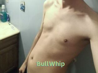 BullWhip