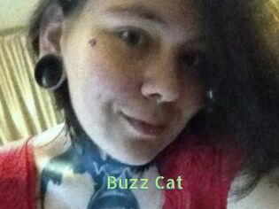 Buzz_Cat