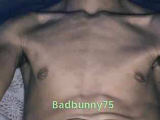 Badbunny75