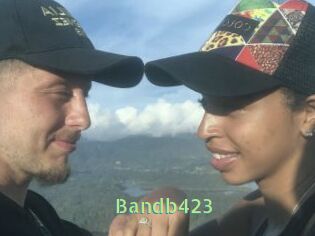 Bandb423