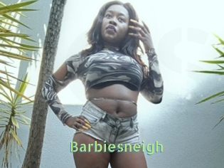 Barbiesneigh