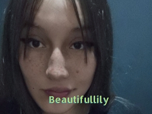 Beautifullily