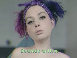 Bedside_willow
