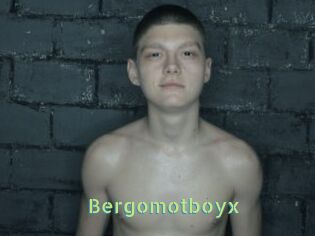 Bergomotboyx