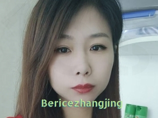 Bericezhangjing