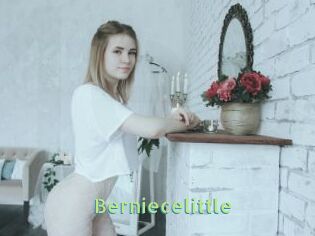 Berniecelittle