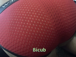 Bicub