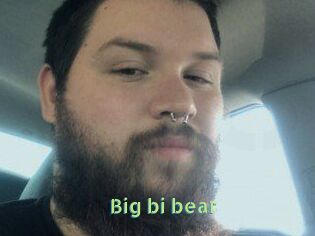 Big_bi_bear