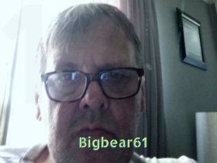 Bigbear61