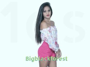 Bigblackforest
