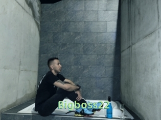 Bigboss22