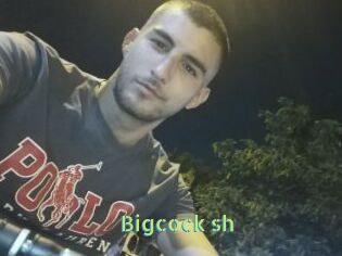 Bigcock_sh
