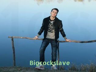 Bigcockslave