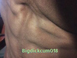 Bigdickcum018