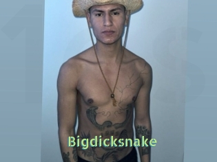 Bigdicksnake