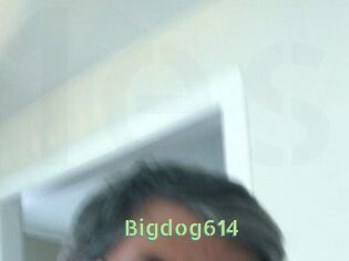 Bigdog614