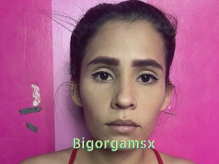 Bigorgamsx