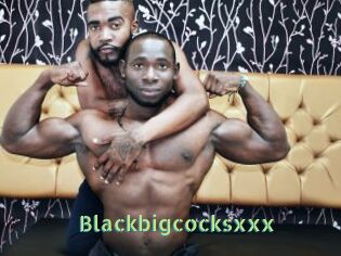 Blackbigcocksxxx