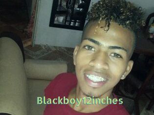 Blackboy12inches