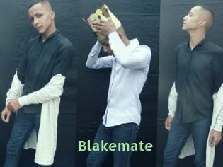 Blakemate