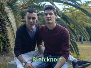 Bleicknort