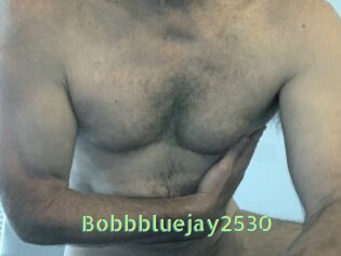 Bobbbluejay2530