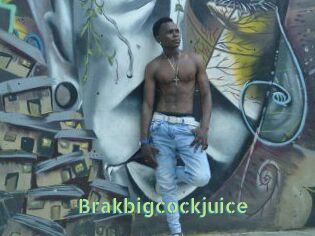 Brakbigcockjuice