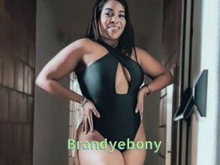 Brandyebony