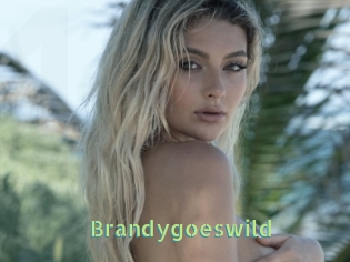 Brandygoeswild