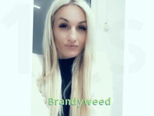 Brandyweed