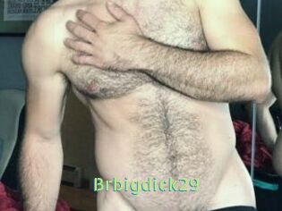 Brbigdick29