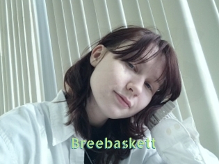 Breebaskett