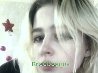 Breeboggus