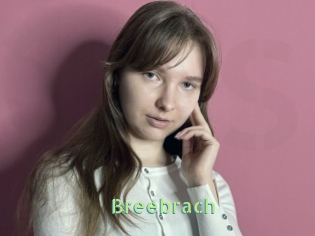 Breebrach