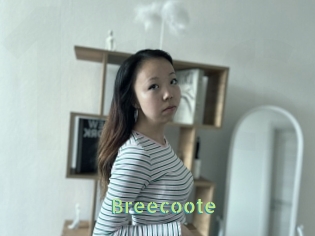 Breecoote