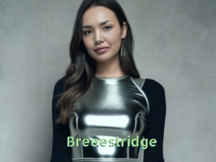 Breeestridge
