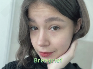 Breegrief