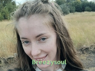 Breezysoul