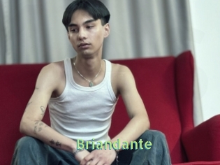 Briandante