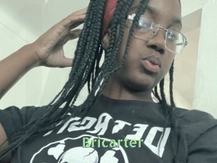 bricarter Une Etudiante Sexy