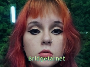 Bridgetarnet