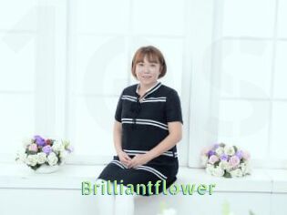 Brilliantflower
