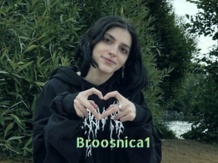 Broosnica1